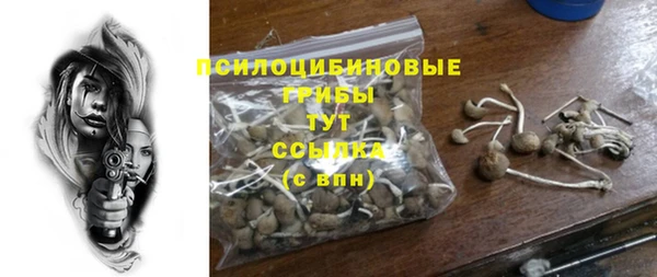 меф Богородицк