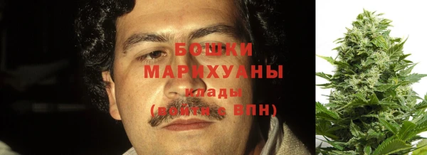 ПСИЛОЦИБИНОВЫЕ ГРИБЫ Беломорск