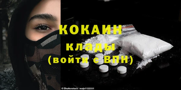 дмт Богданович