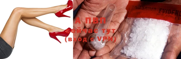 ПСИЛОЦИБИНОВЫЕ ГРИБЫ Беломорск