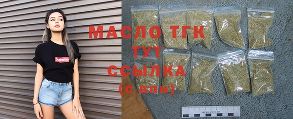 дмт Богданович