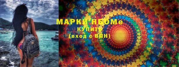 дмт Богданович