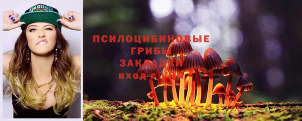 ПСИЛОЦИБИНОВЫЕ ГРИБЫ Беломорск