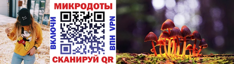 Галлюциногенные грибы прущие грибы купить наркотики цена Межгорье